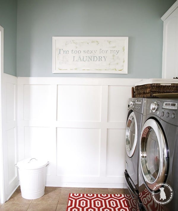 im_too_sexy_for_my_laundry