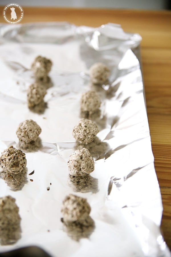 diy_wildflower_bombs