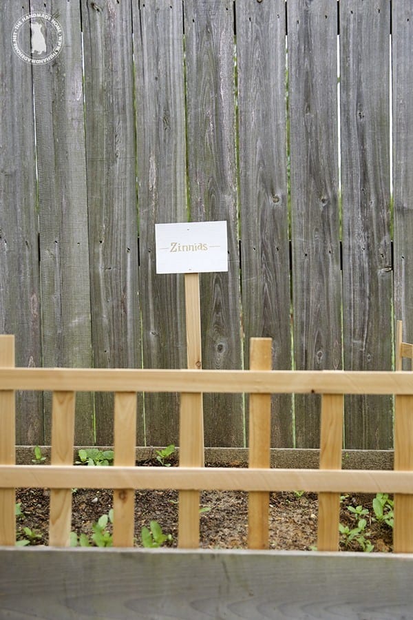 fence_and_sign