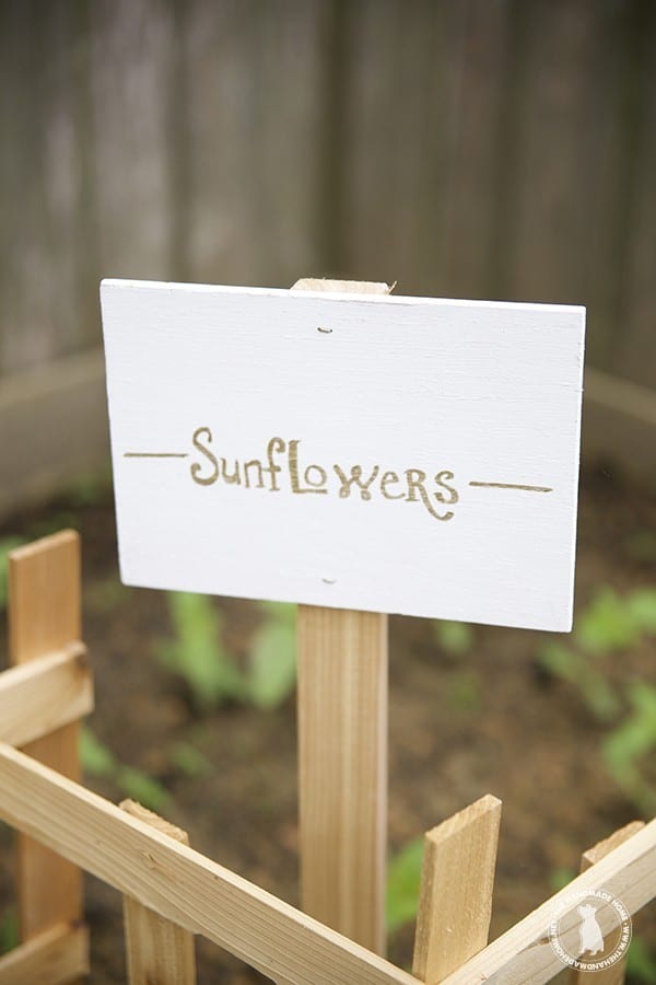 garden_sunflowers_sign