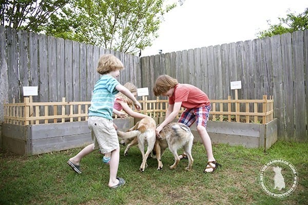 trouble_making_pups