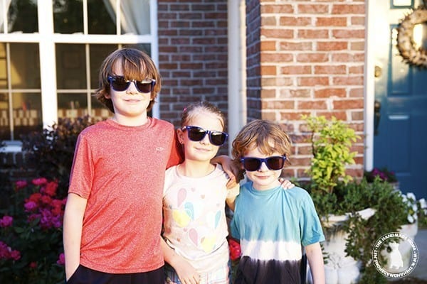 arctic_cove_sunglasses