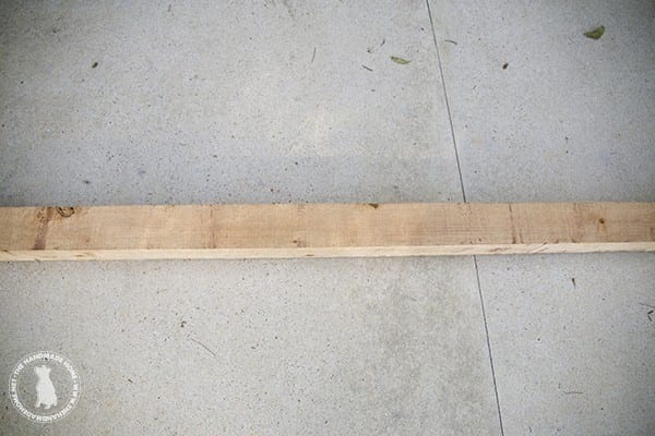 cedar