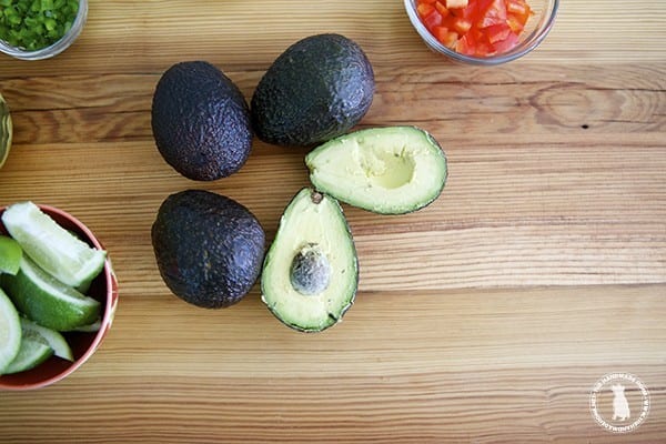 guacamole_bar