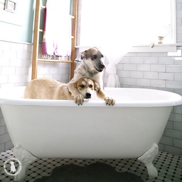 baths_are_stupid
