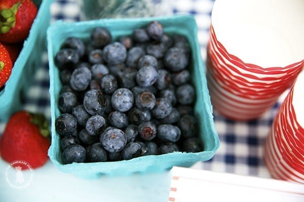 4th of July party ideas