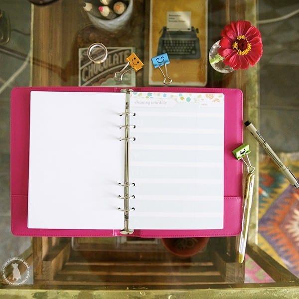 cleaning_schedule_a5_free
