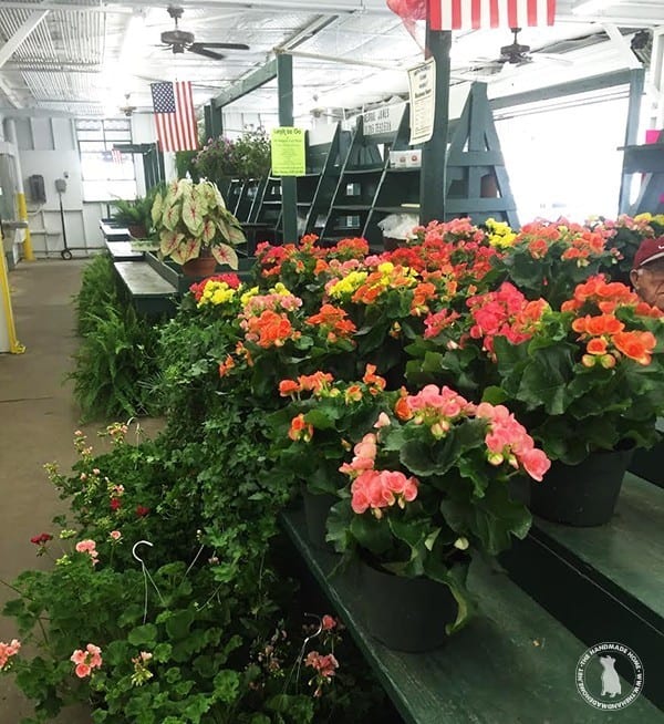 farmers_market_fresh