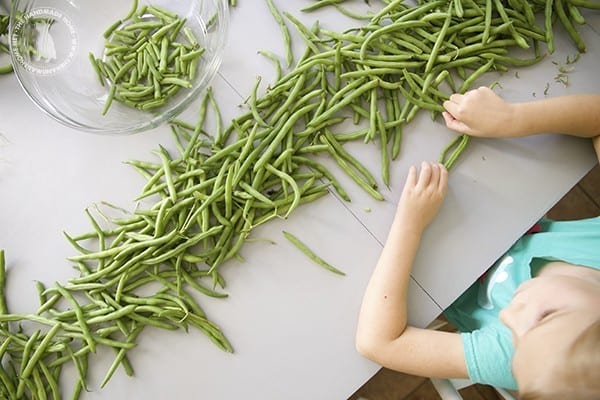 farmers_market_green_beans
