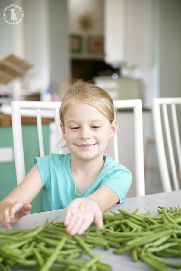 green_bean_fortune_telling