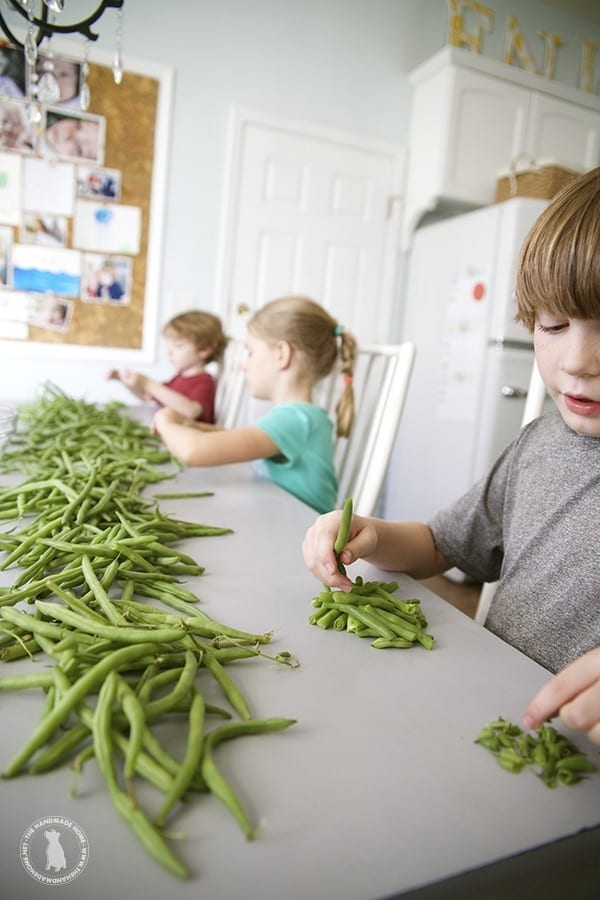 green_beans_snapping