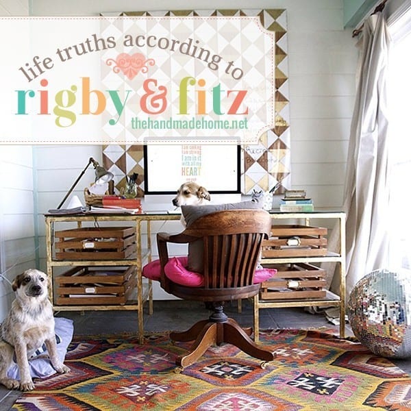 life_truths_according_to_rigby_and_fitz