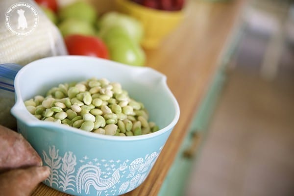 lima_beans