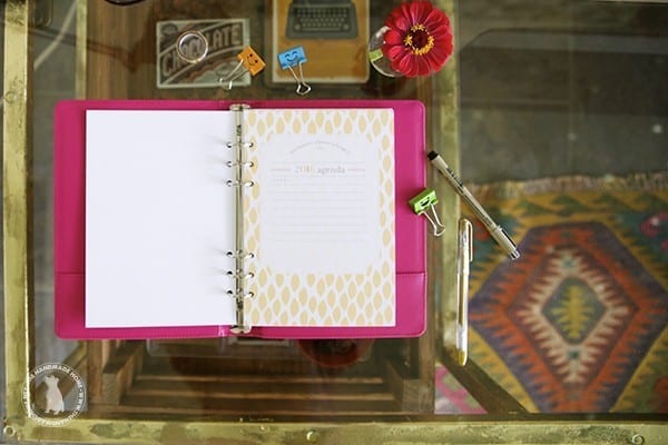 planner_info_sheet_free_2016
