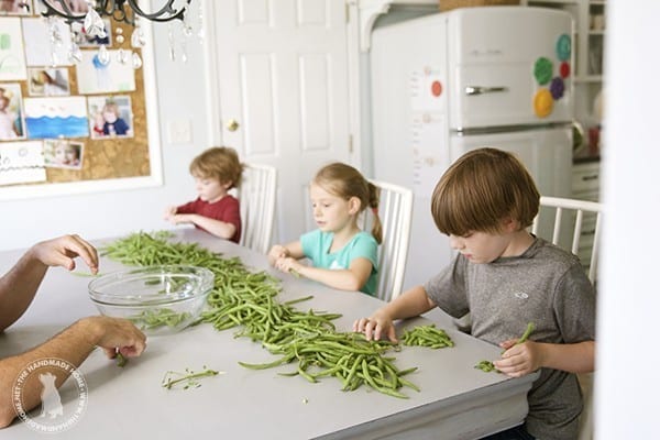 snapping_green_beans
