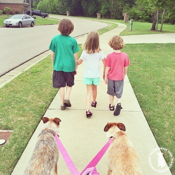 walk