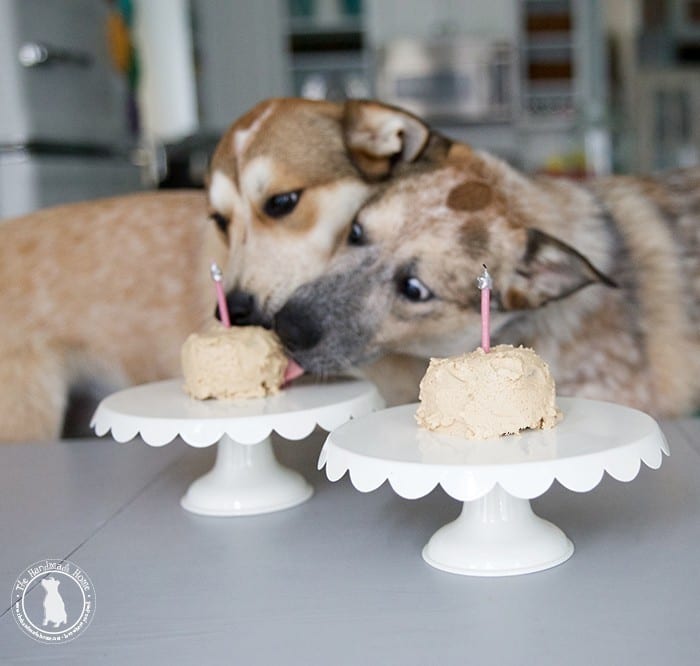 all_of_the_cake