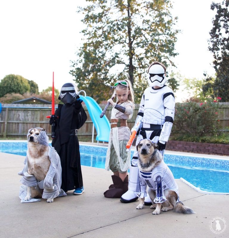 things I’m too old for this halloween {ghosts of halloweens past}