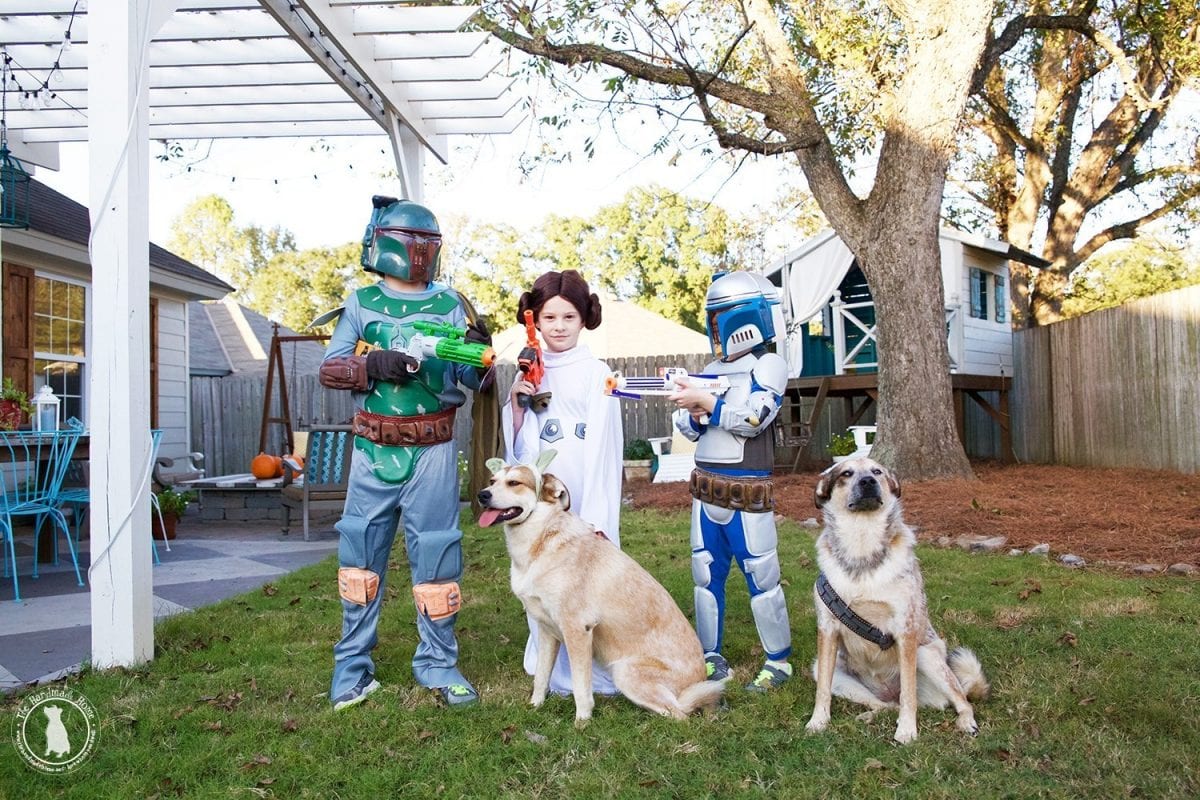 star_wars_costume