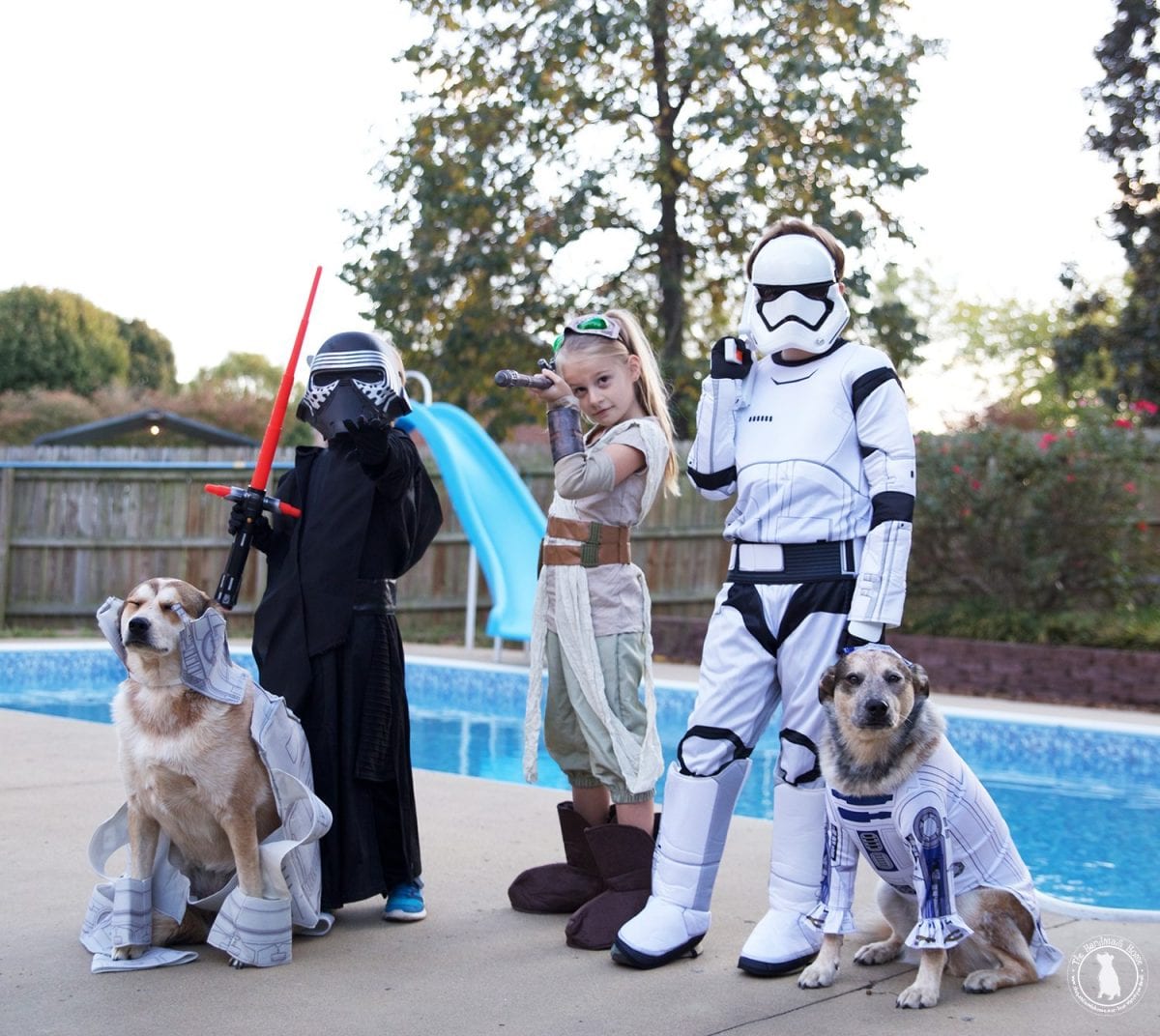 starwars5