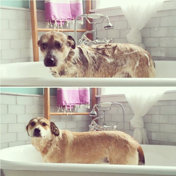 bath_shaming