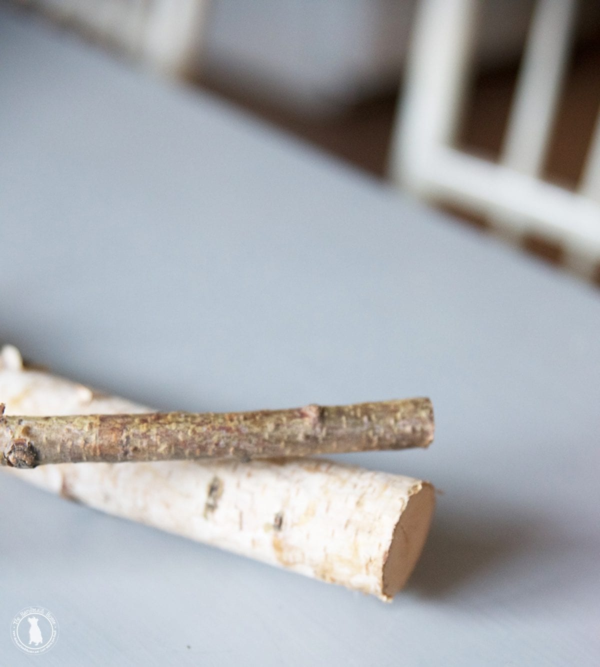 birch_branch_star