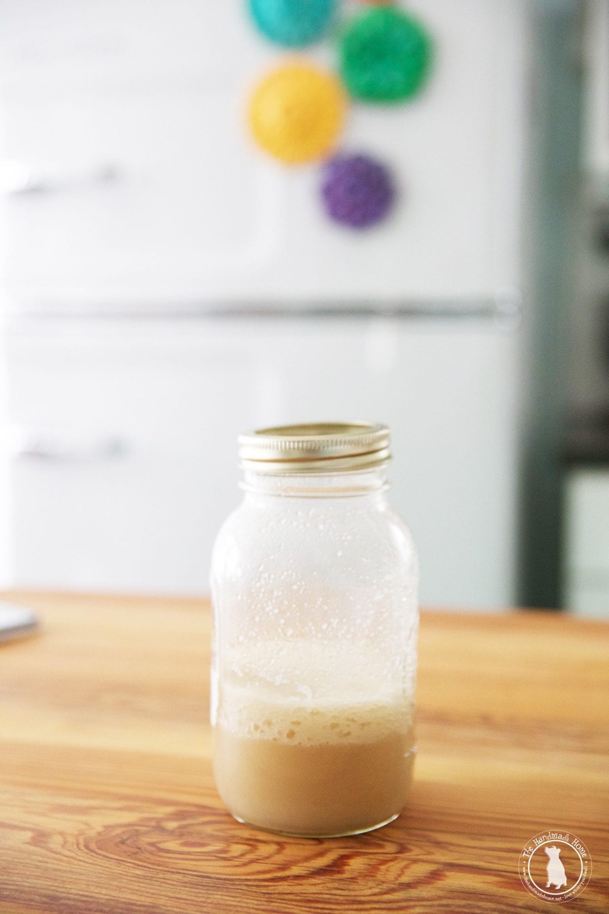 fermented_yeast_mix