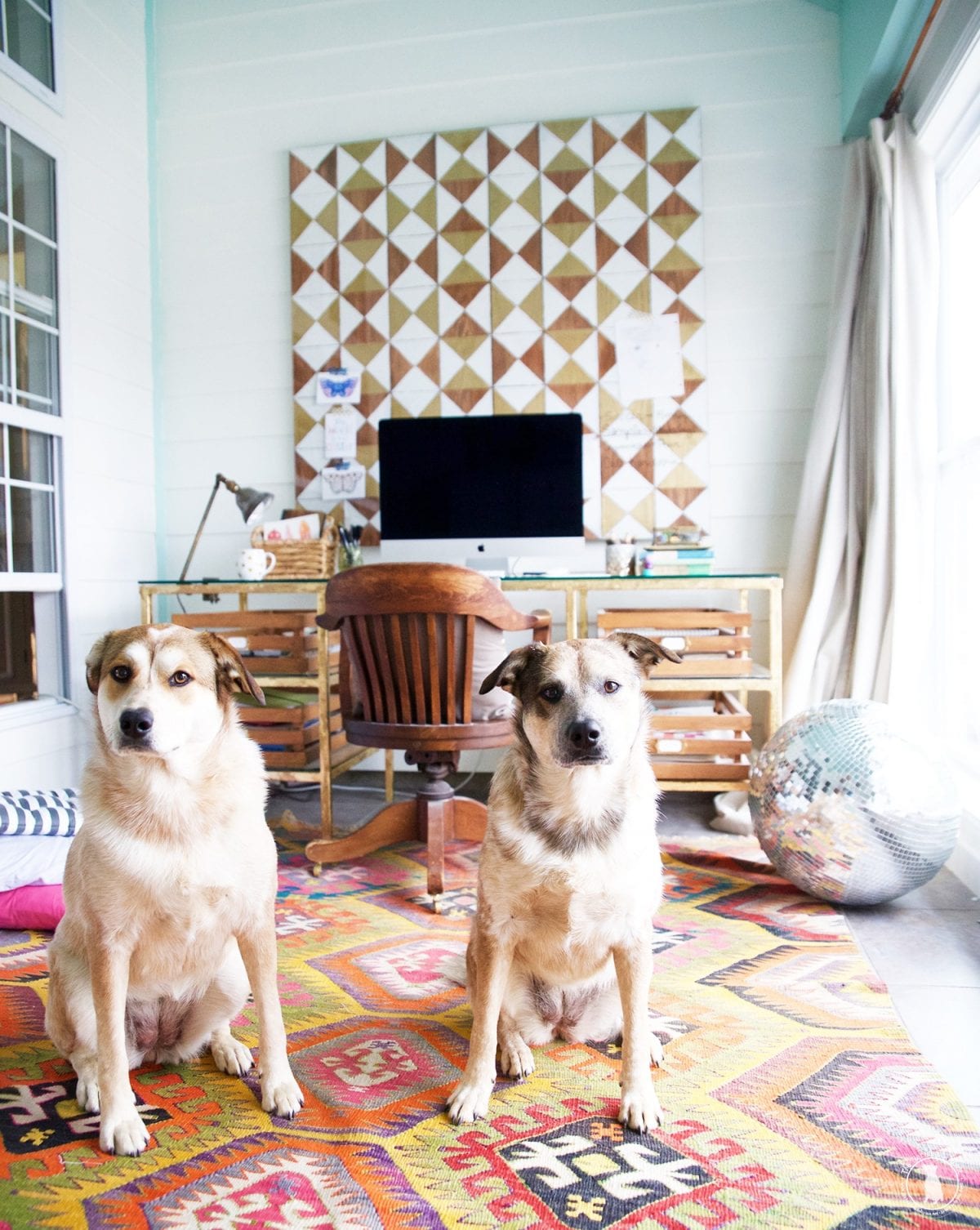 pups