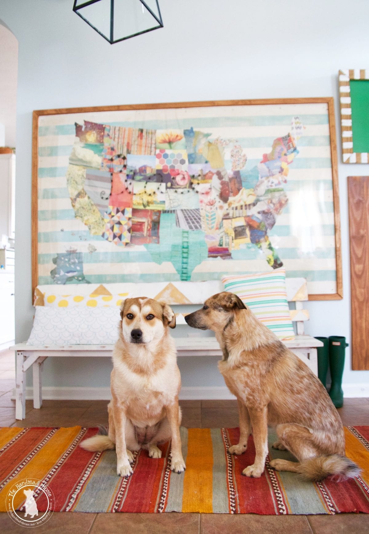 red_heeler_white_pyrenees