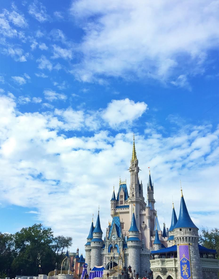 Disney Tips magic kingdom