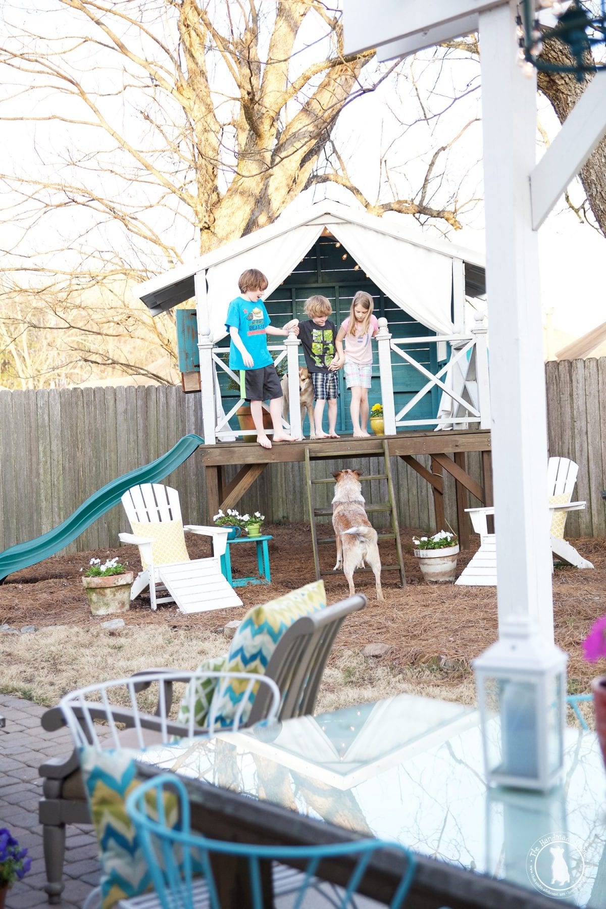dogs_outside