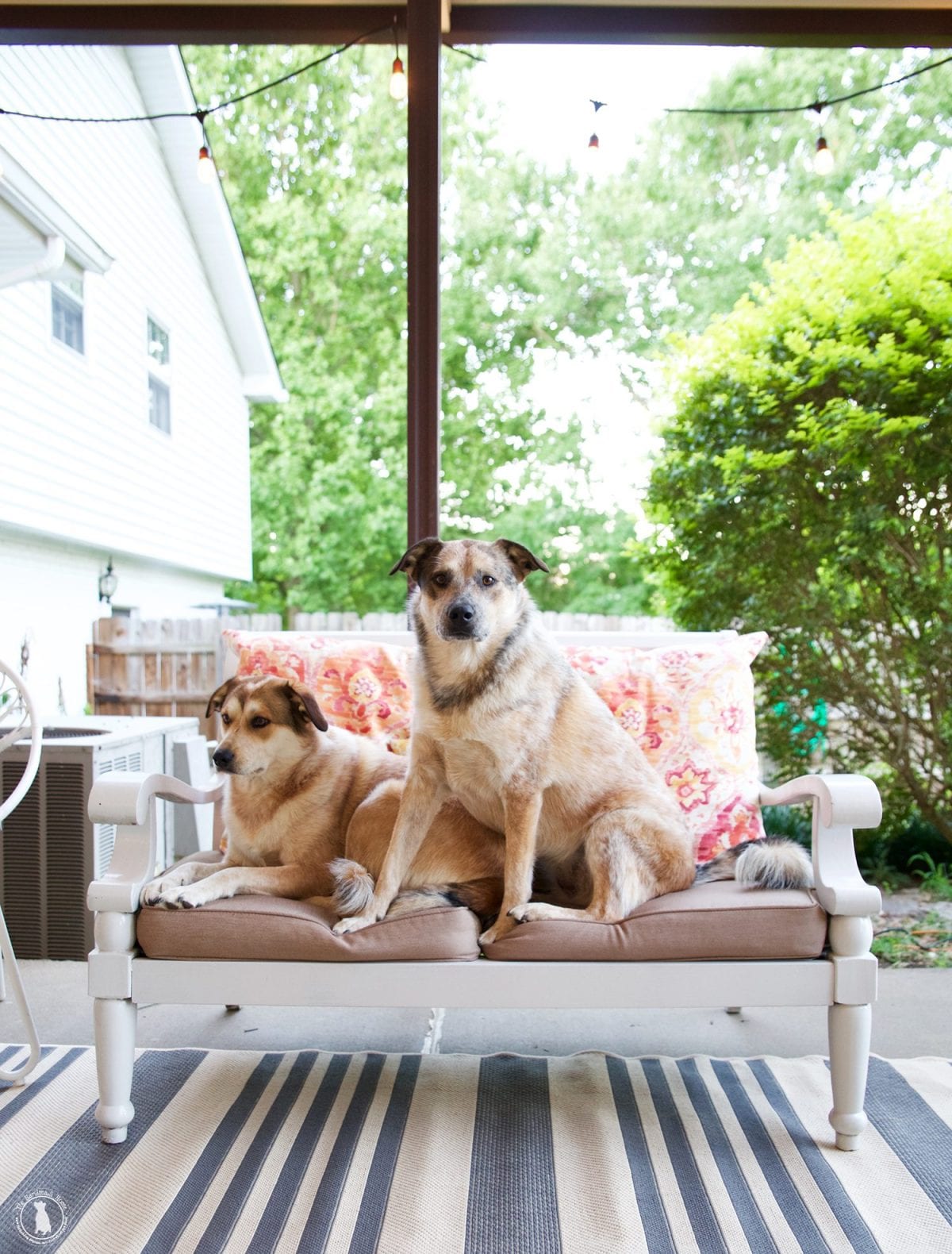 rigby_and_fitz