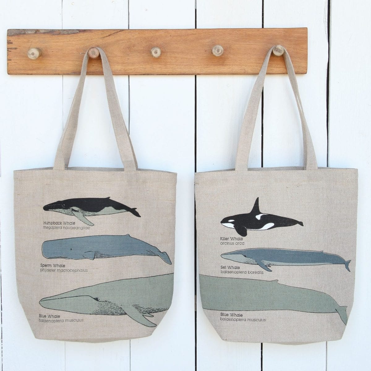 whale_of_a_tale