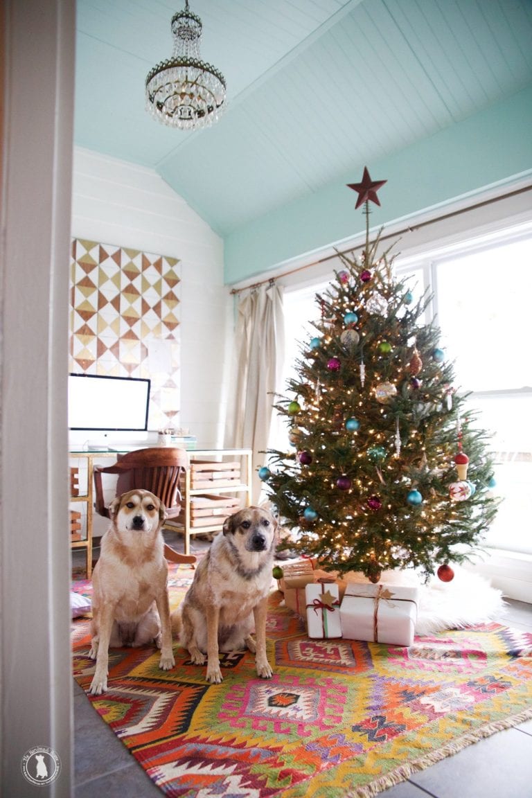 holiday entertaining + a laundry packet psa