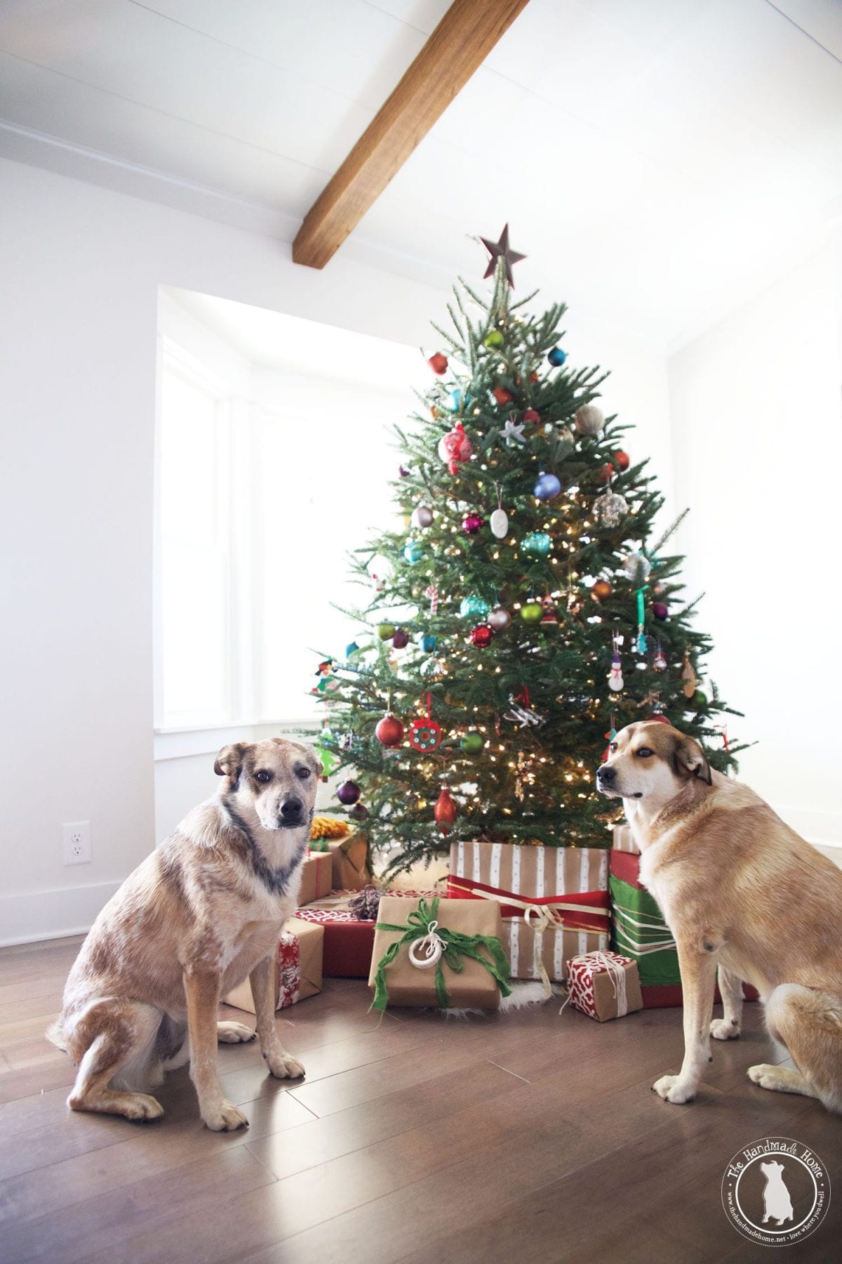 christmas_rigby_and_fitz
