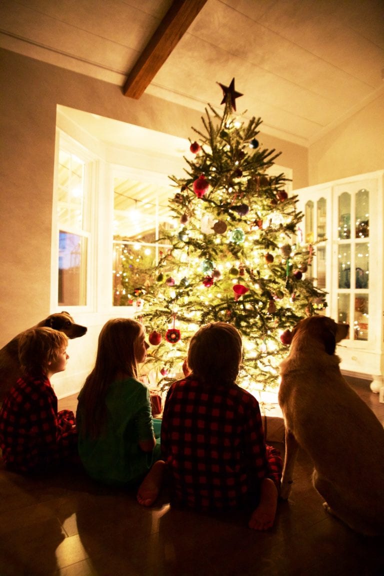 from our family to yours