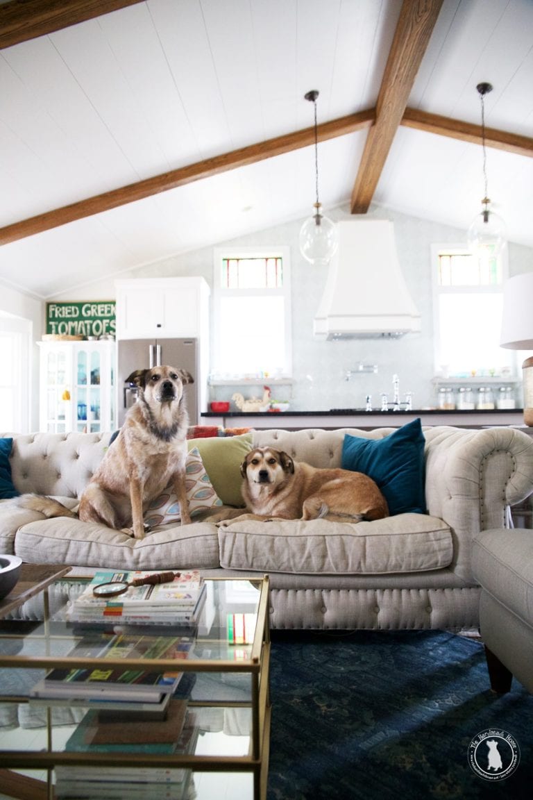 how to keep your house clean {with two massive dogs}