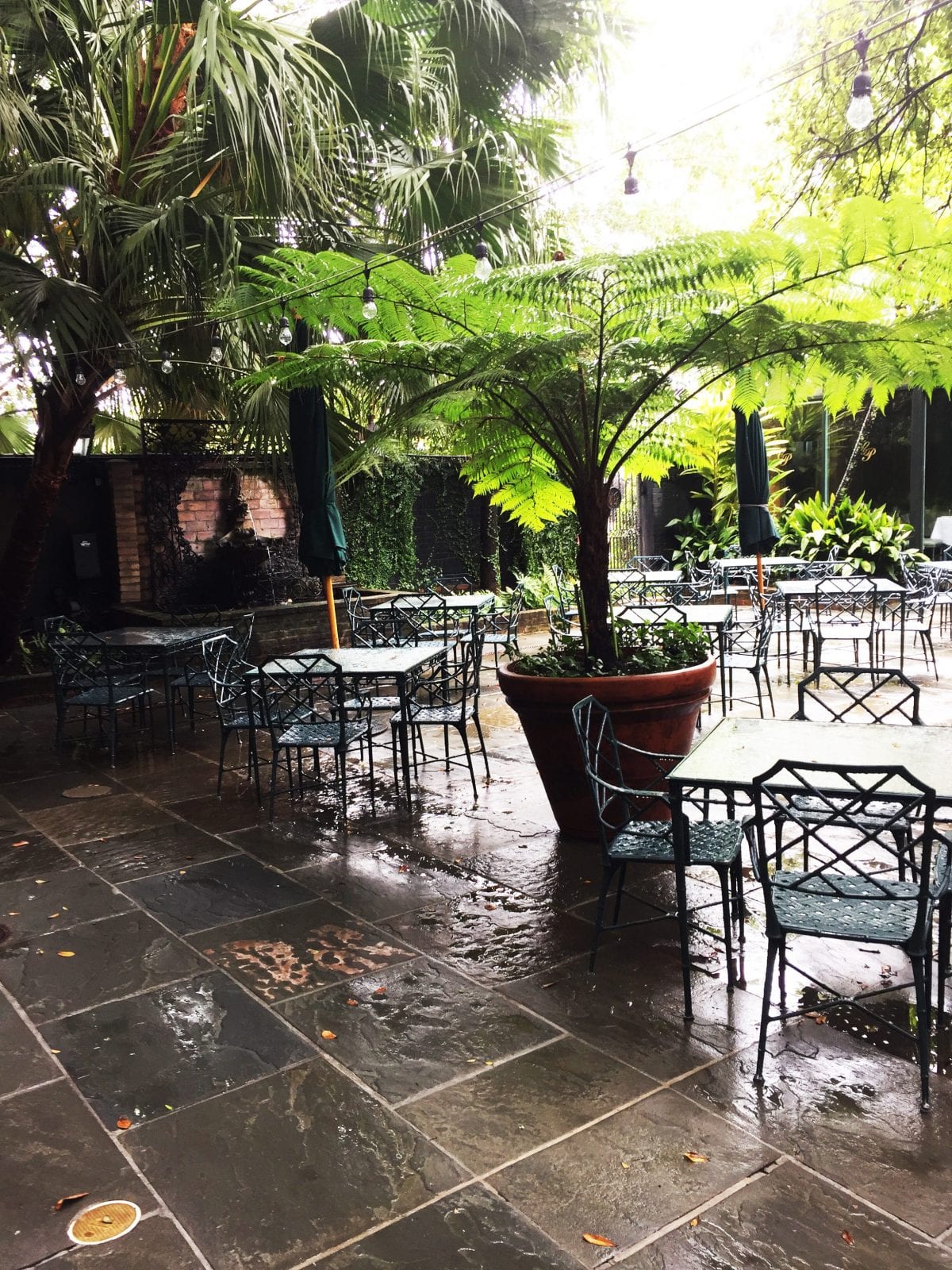 Places to eat in New Orleans - commanders palace