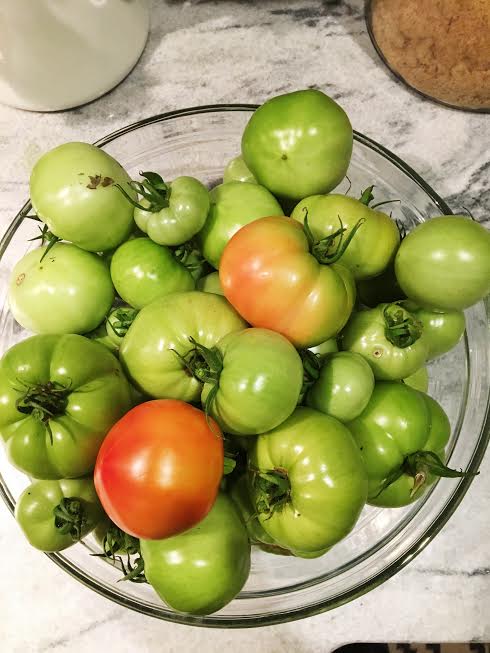 fried green tomato sandwich - gluten free with comeback sauce