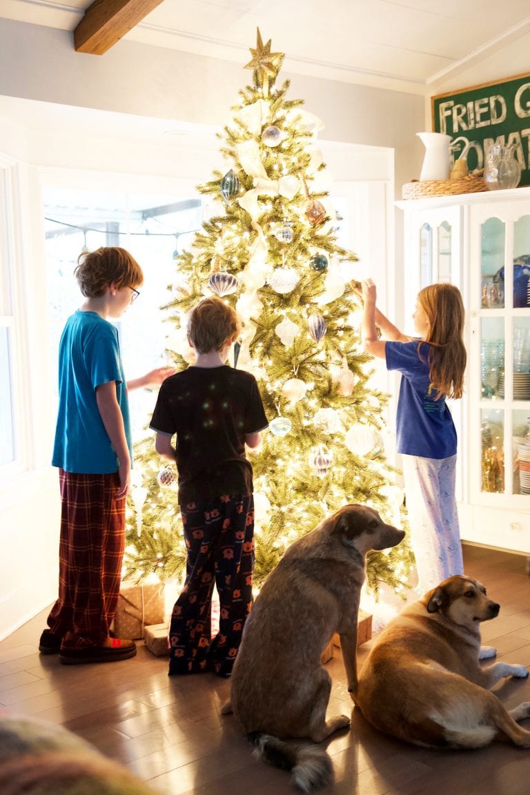 ’twas the night before christmas