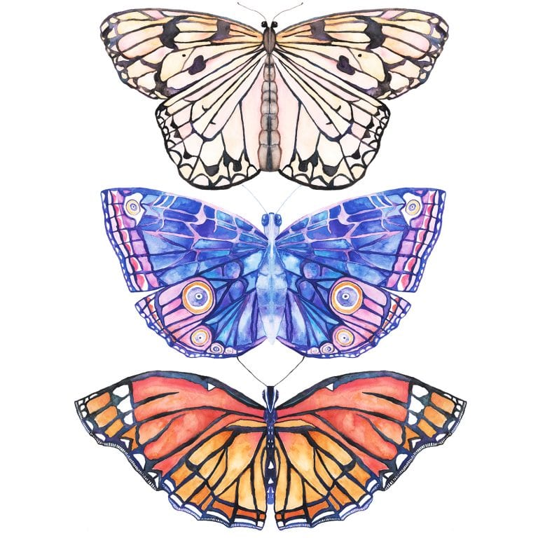 free butterfly art