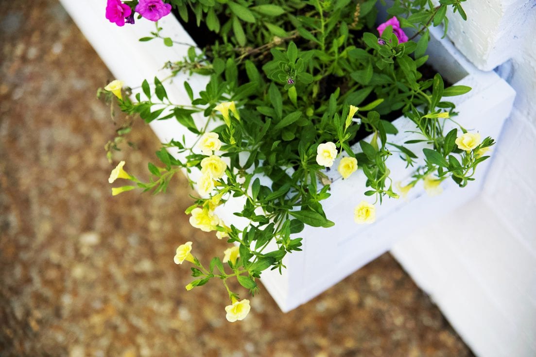 how to build a simple window box 