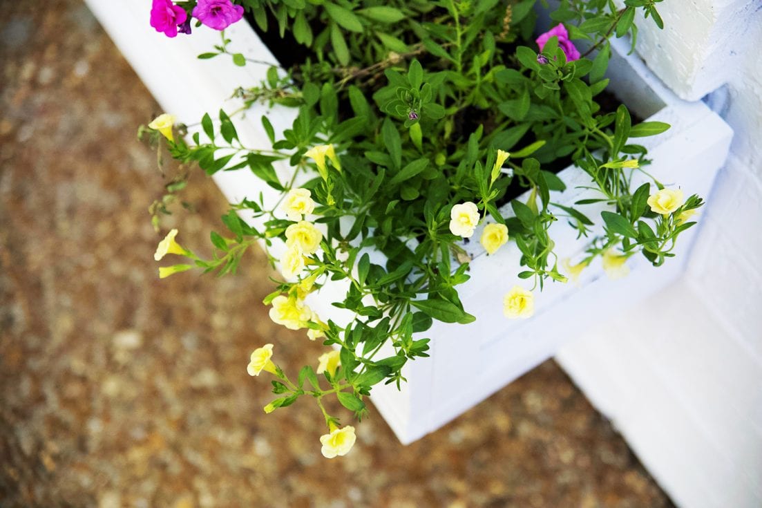 how to build a simple window box