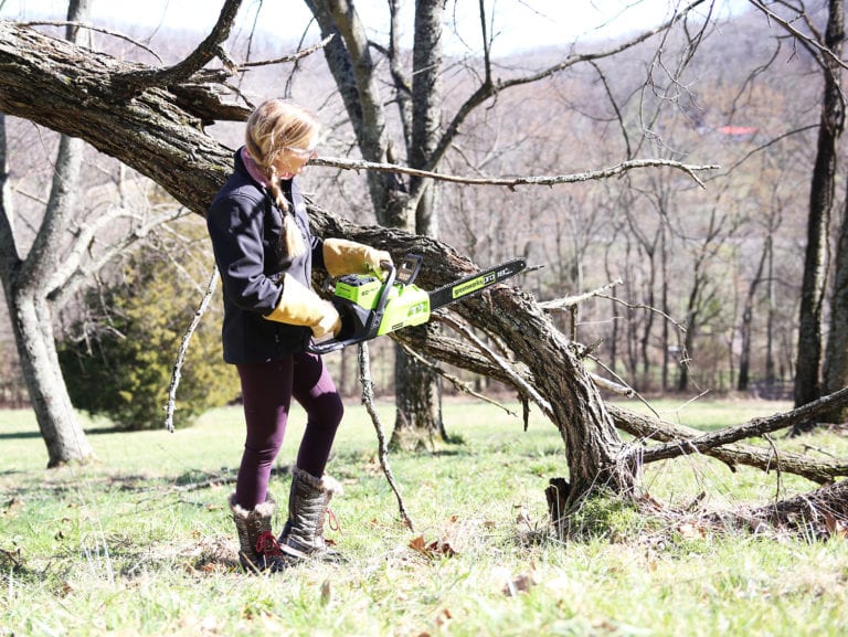 greenworks – a giveaway! {and also the time I tried a chainsaw}