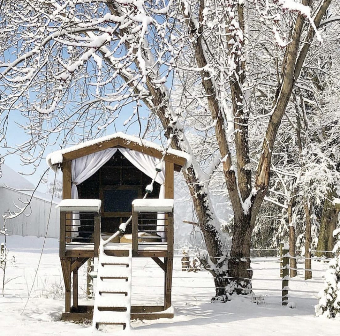 best tree house ideas