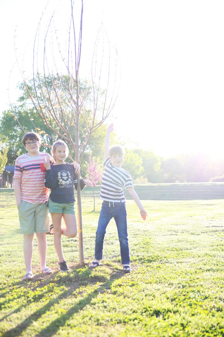 happy earth day: a greenworks giveaway!