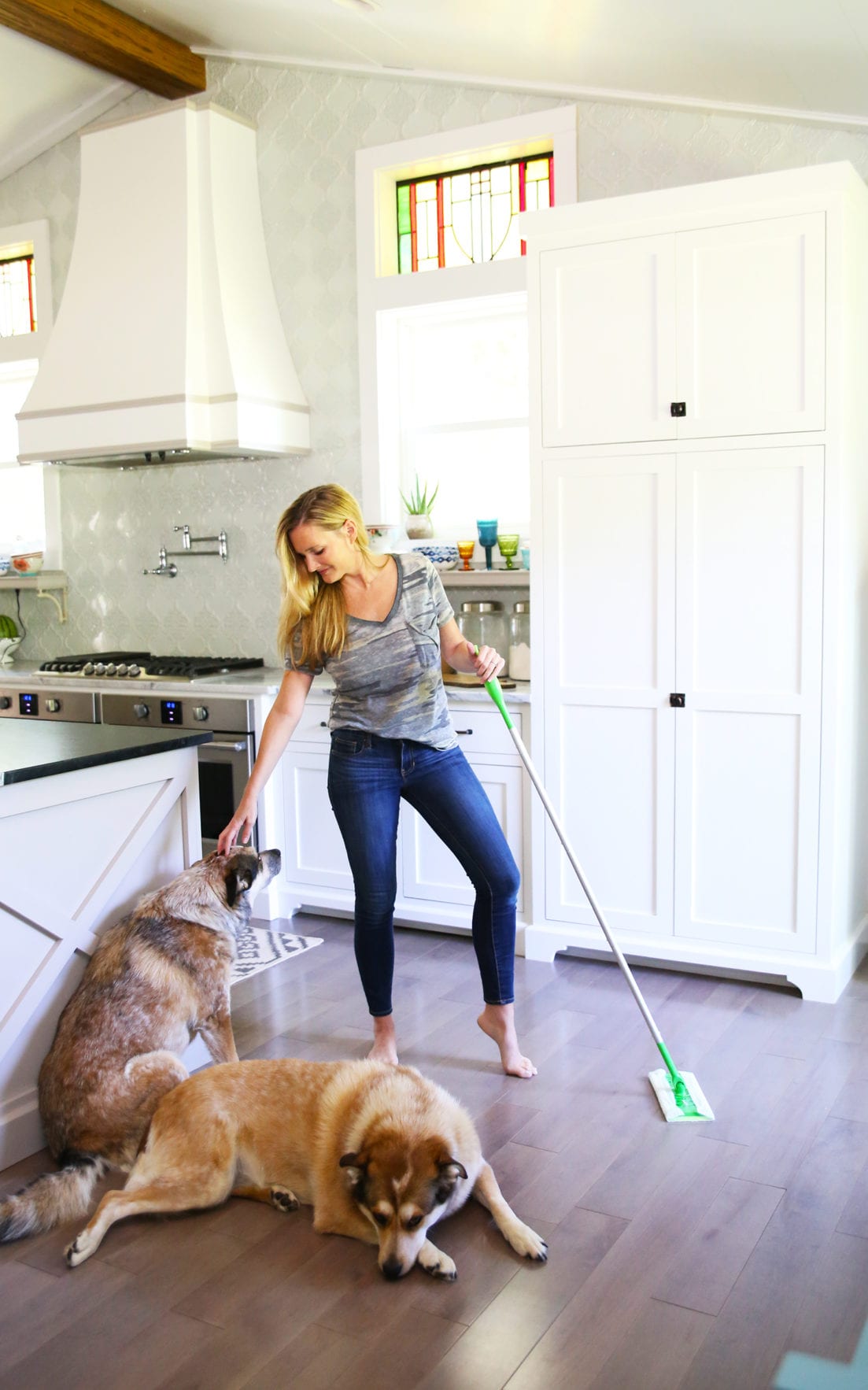 how to keep your house clean with pets