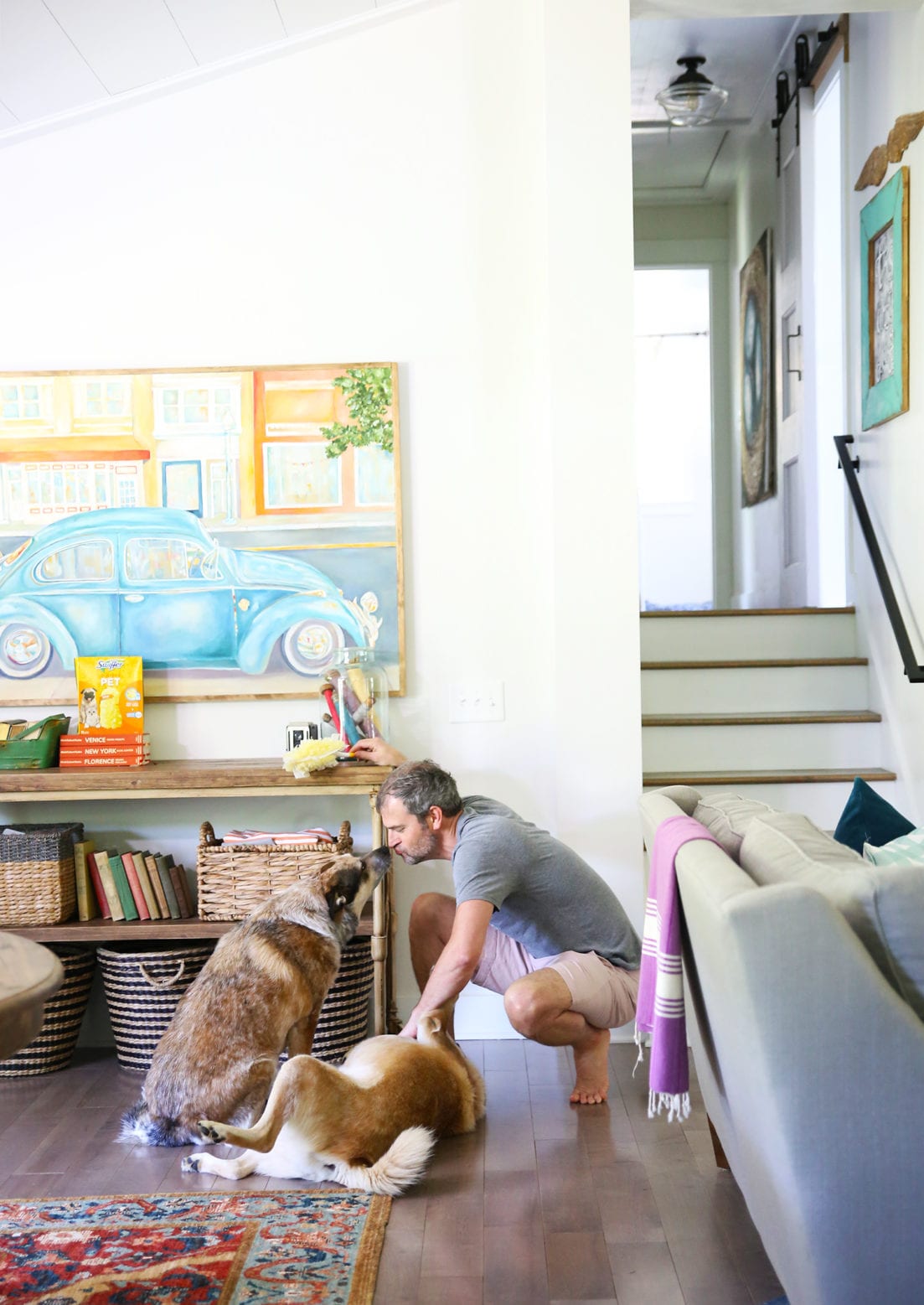 how to keep your house clean with pets
