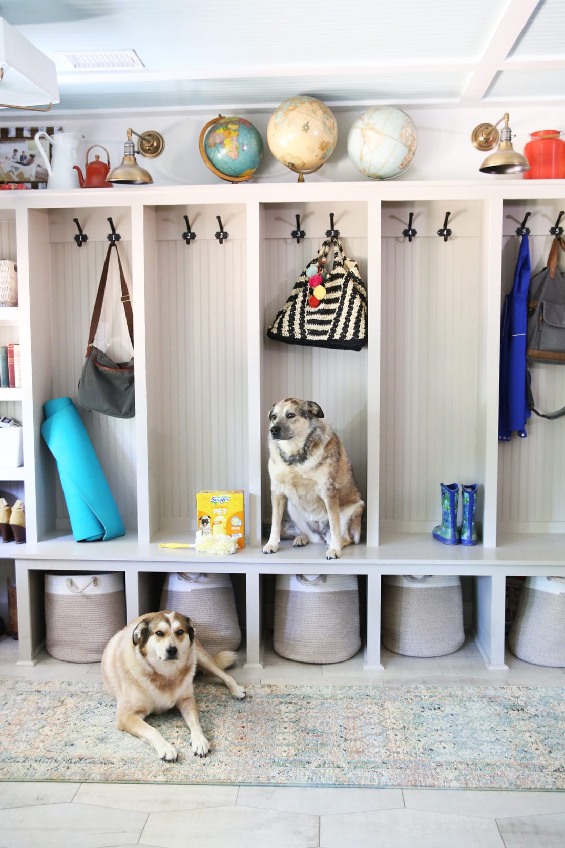how to keep your house clean with pets