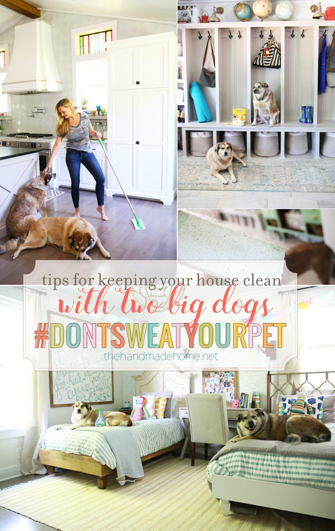 how to keep your house clean with pets